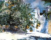 Orange Tree Nassau aka Orange Trees and Gate - 温斯洛·荷默